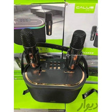 CALUS Haut-parleurs citation 500