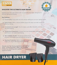 DENX Professional Hair Dryer DX1343