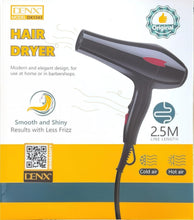 DENX Professional Hair Dryer DX1343